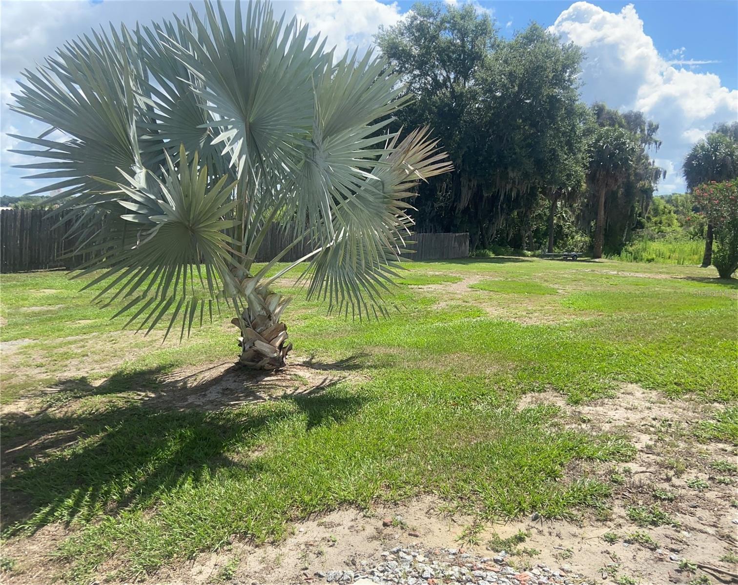 91 WOODLAND DR, HAINES CITY, FL — photo 41