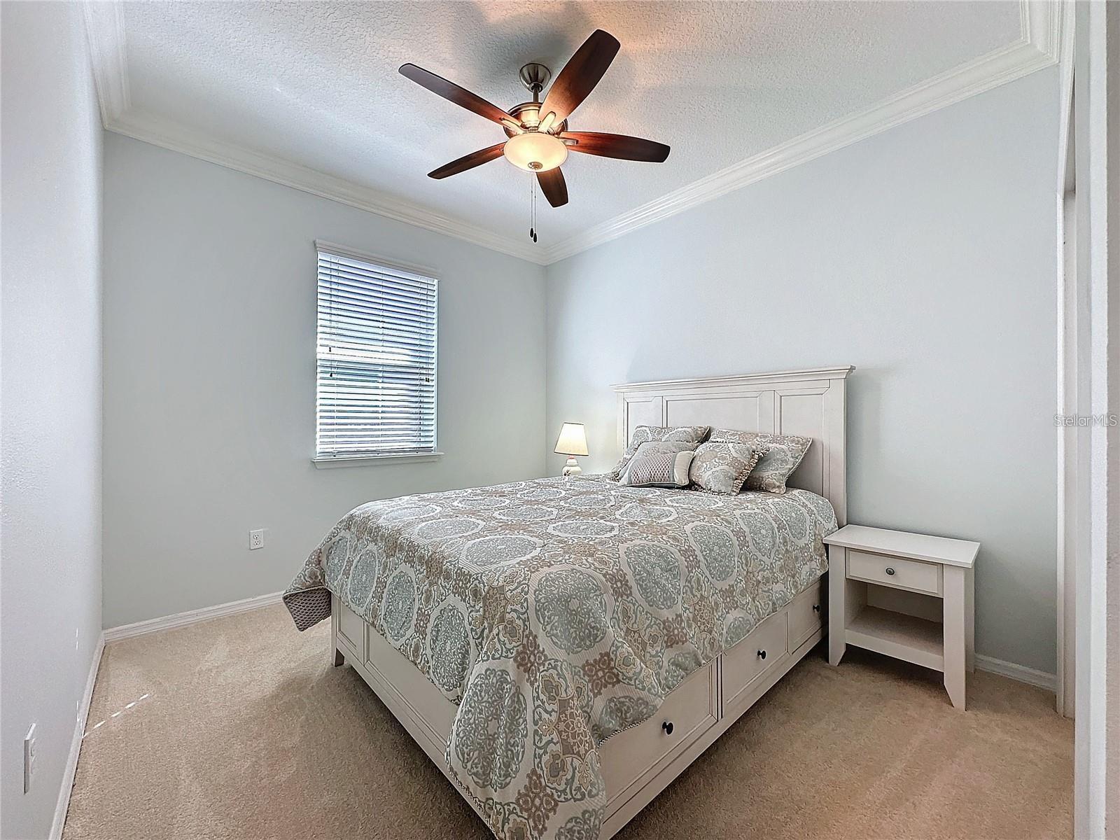 209 SILVER MAPLE RD, GROVELAND, FL — photo 30