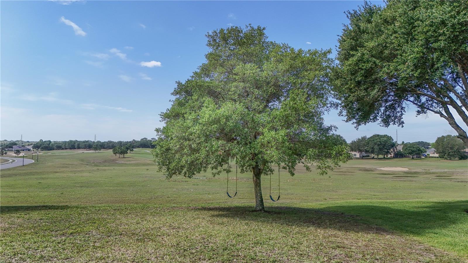 23626 VALDERAMA LN, SORRENTO, FL — photo 94
