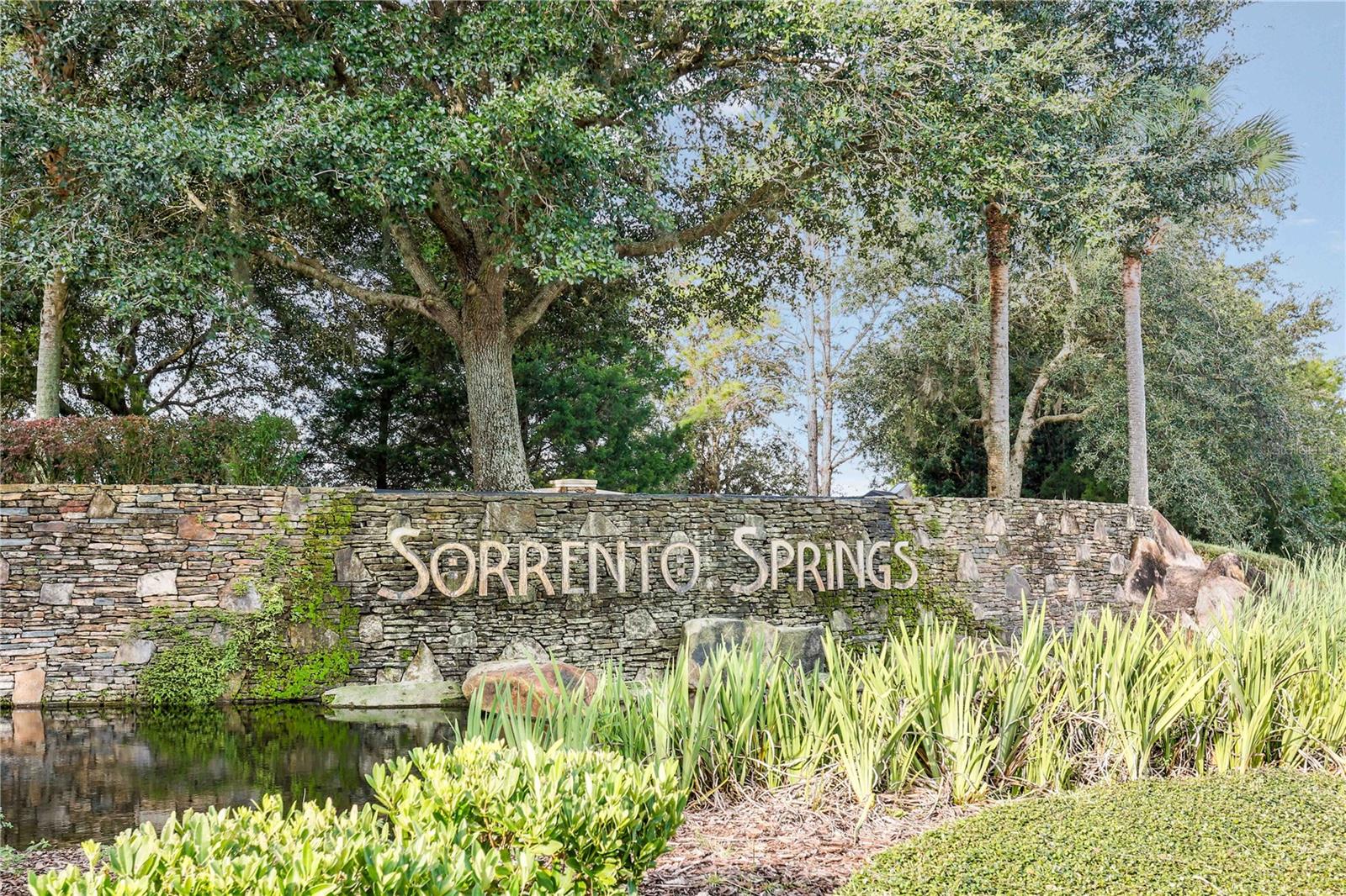 23626 VALDERAMA LN, SORRENTO, FL — photo 98