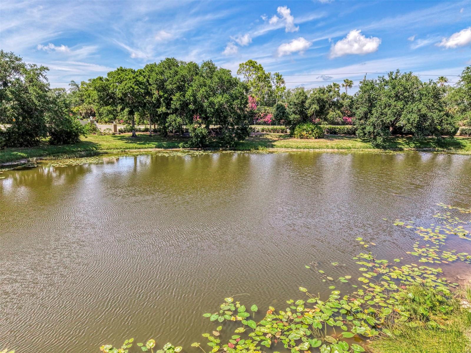 900 ADDINGTON CT #203, VENICE, FL — photo 62