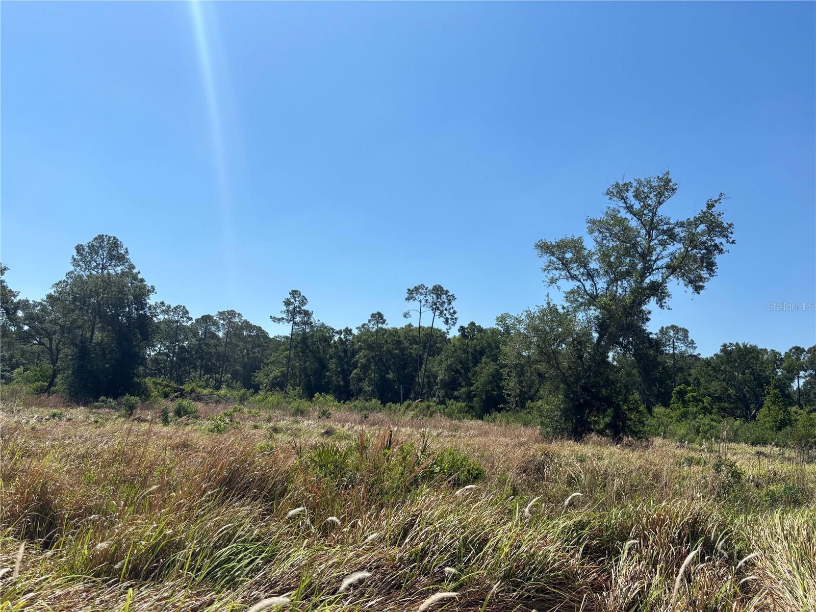 ARDENWOOD, TAMPA, FL — photo 3