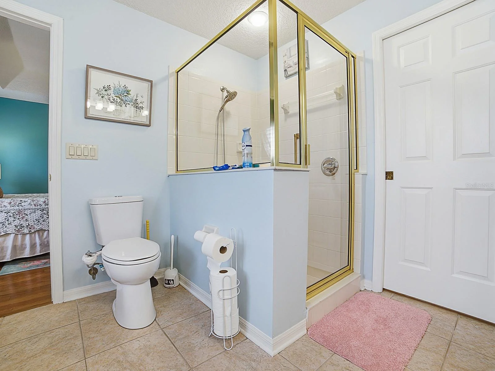 24317 BELLE MEDE DR, LEESBURG, FL — photo 14