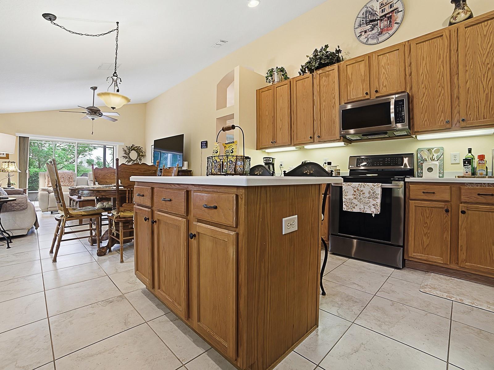 24317 BELLE MEDE DR, LEESBURG, FL — photo 55
