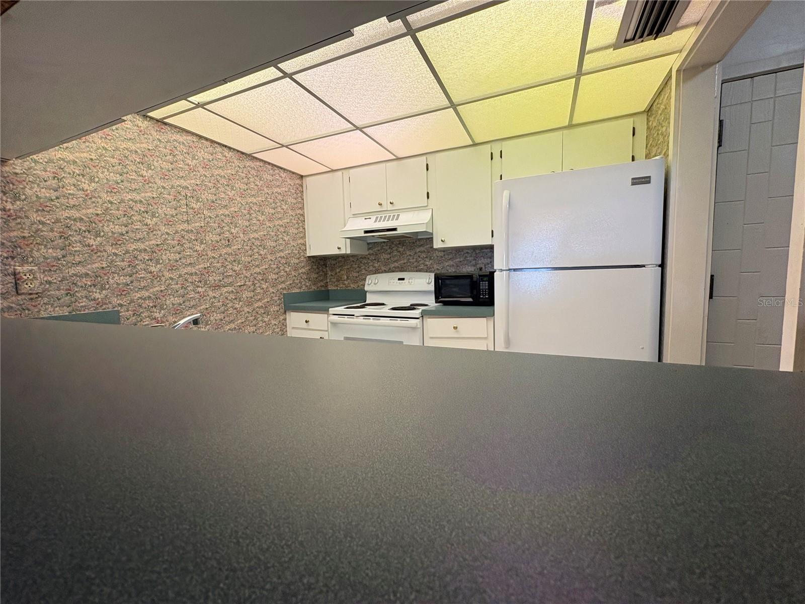 167 PALM VIEW CT #3487, HAINES CITY, FL — photo 3