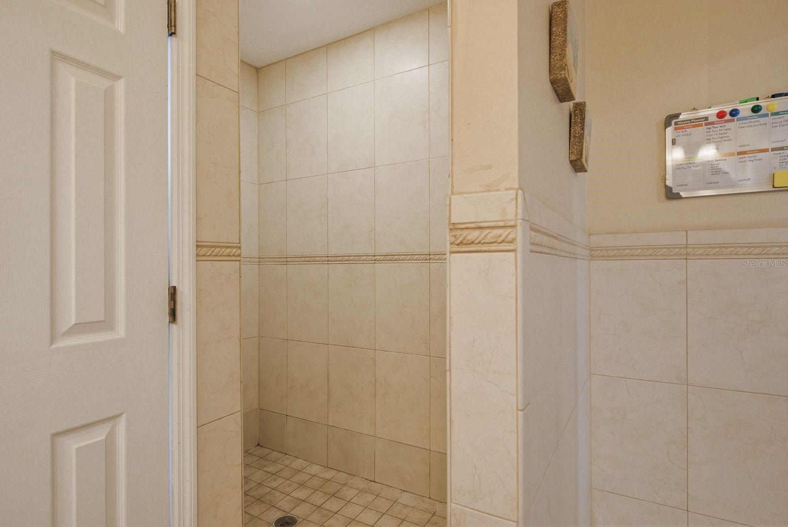 3228 BENTLEY DR, PALM HARBOR, FL — photo 20