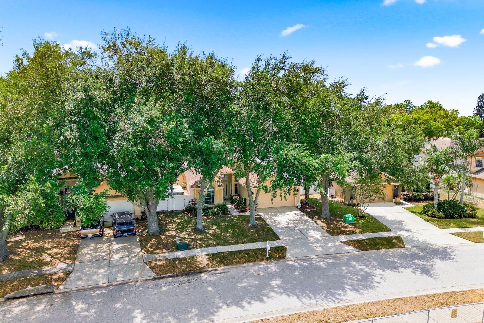 3228 BENTLEY DR, PALM HARBOR, FL — photo 46