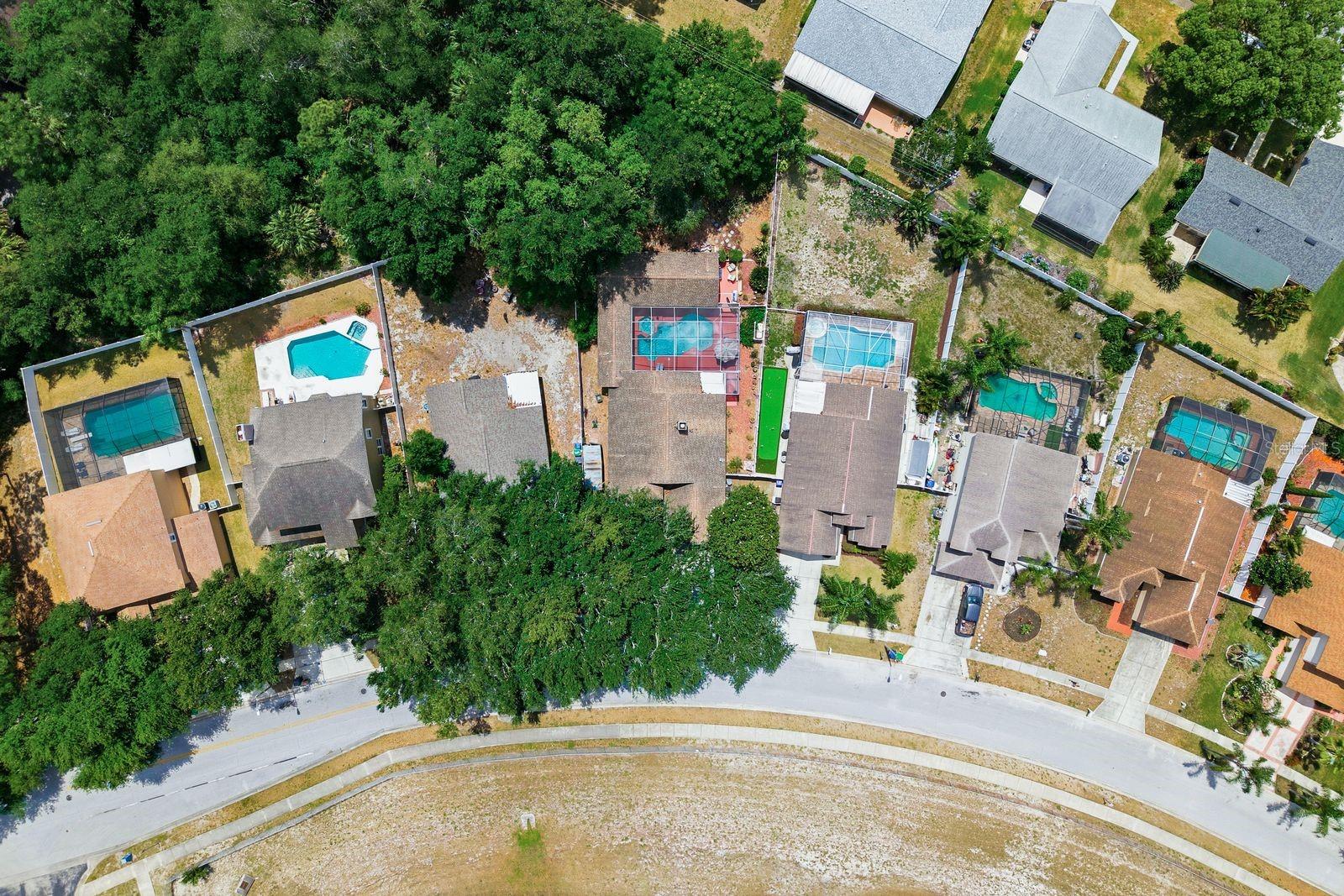 3228 BENTLEY DR, PALM HARBOR, FL — photo 47