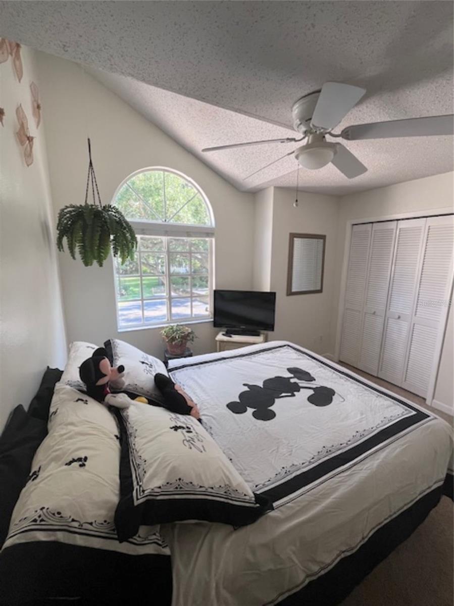 3047 OVERLOOK PL, CLEARWATER, FL — photo 37