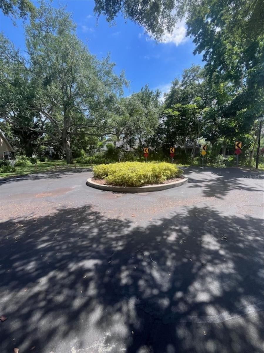 3047 OVERLOOK PL, CLEARWATER, FL — photo 49