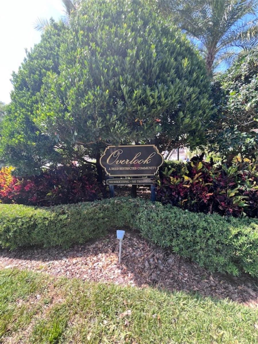 3047 OVERLOOK PL, CLEARWATER, FL — photo 50