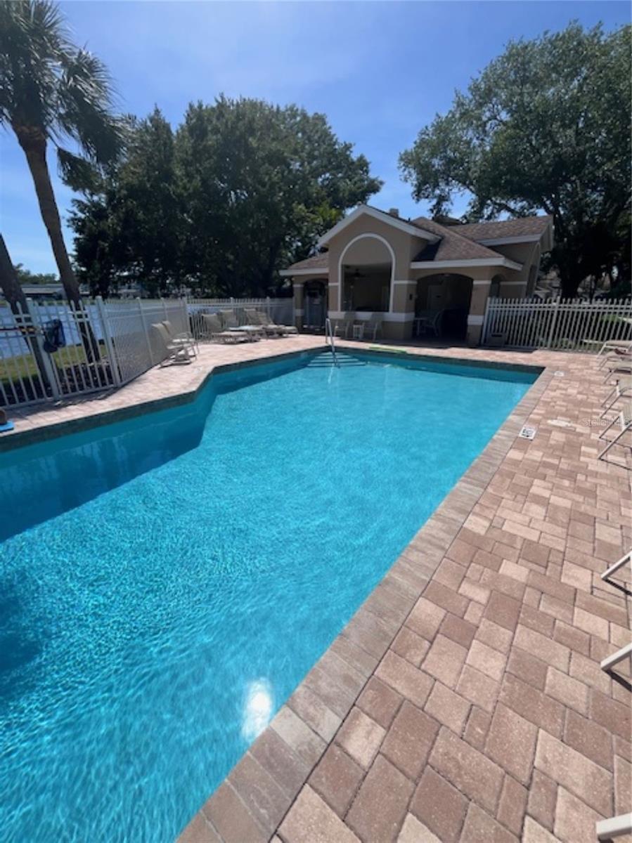 3047 OVERLOOK PL, CLEARWATER, FL — photo 51