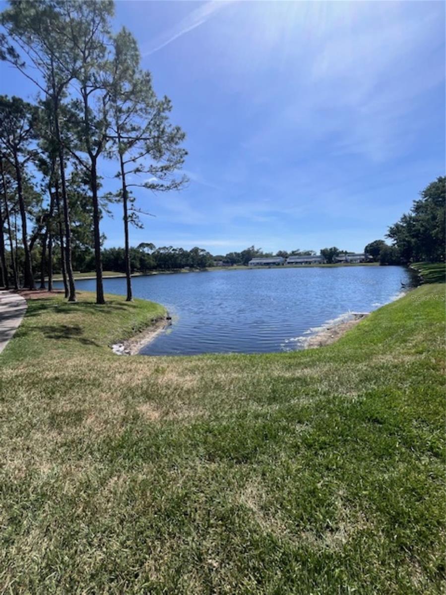 3047 OVERLOOK PL, CLEARWATER, FL — photo 54