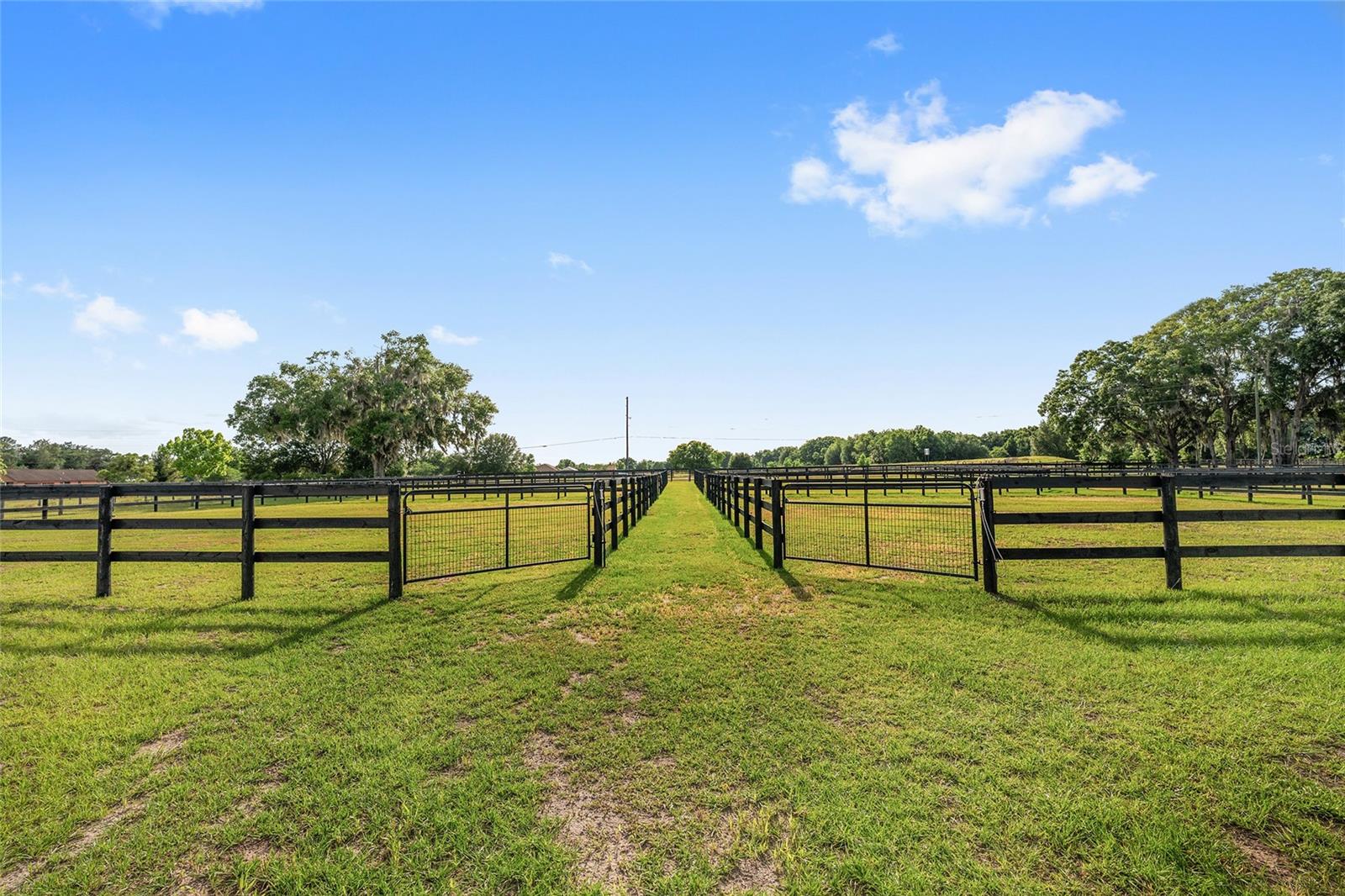 663 NW 80TH AVE, OCALA, FL — photo 23