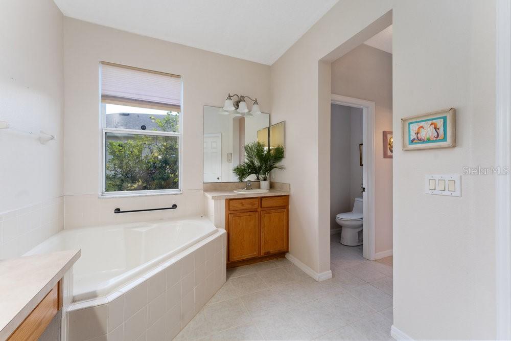 3463 CREEK RUN LN, EUSTIS, FL — photo 67