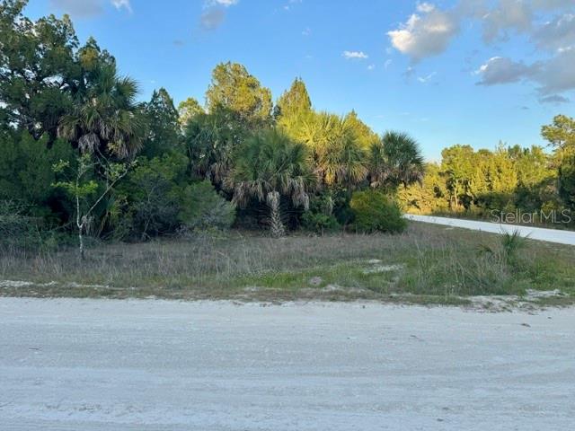 RAPIDAN RD, WEEKI WACHEE, FL — photo 2