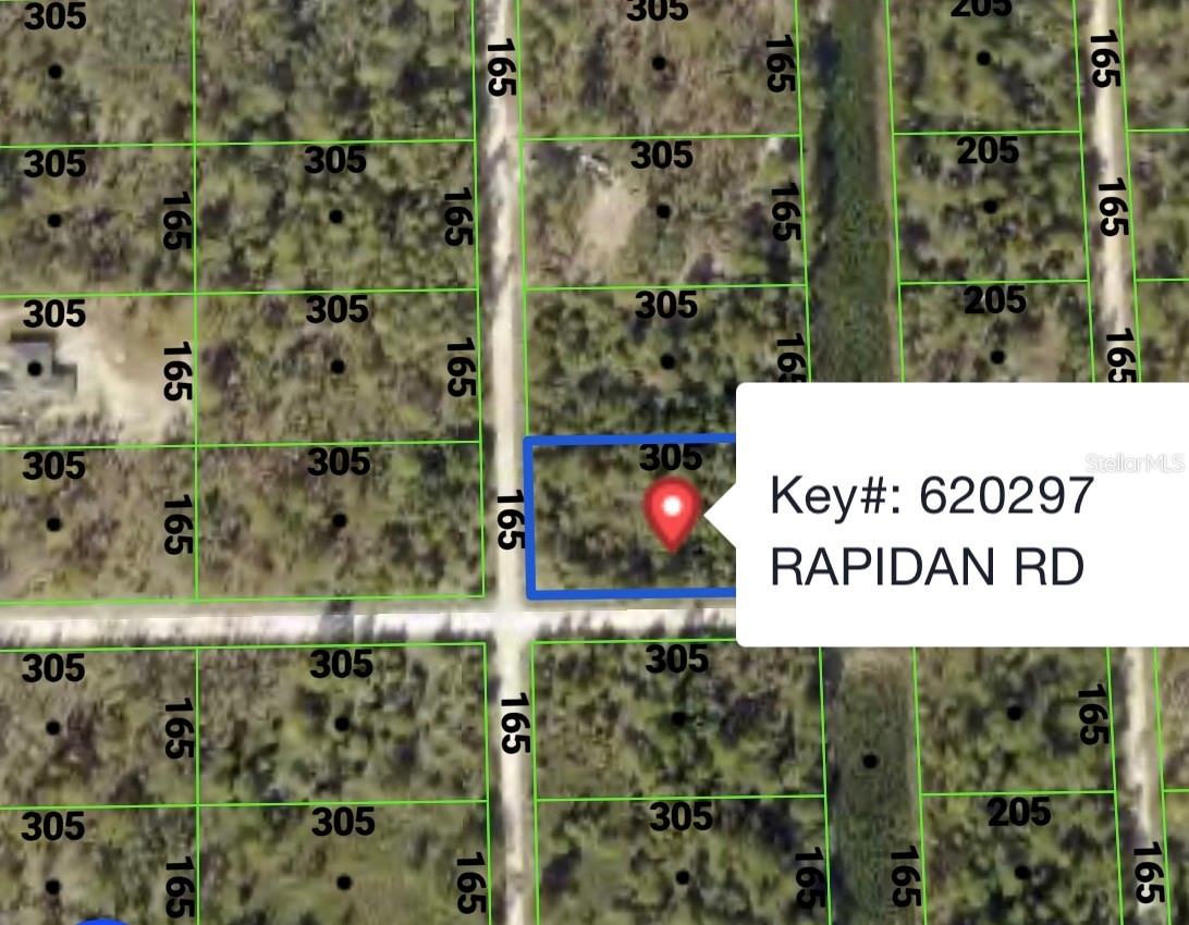 RAPIDAN RD, WEEKI WACHEE, FL — photo 4