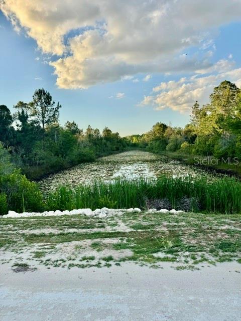 RAPIDAN RD, WEEKI WACHEE, FL — photo 5