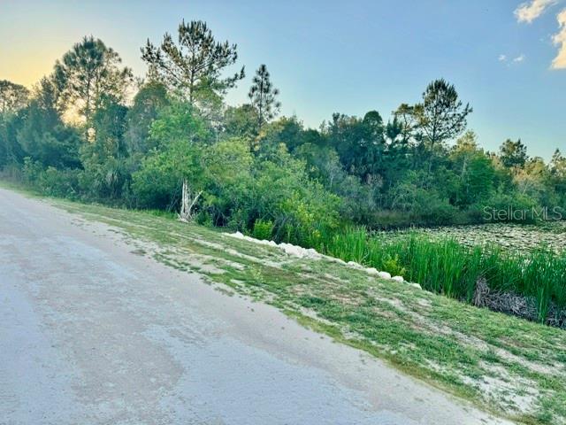 RAPIDAN RD, WEEKI WACHEE, FL — photo 6