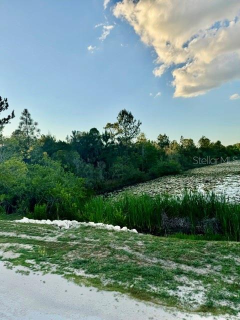 RAPIDAN RD, WEEKI WACHEE, FL — photo 7