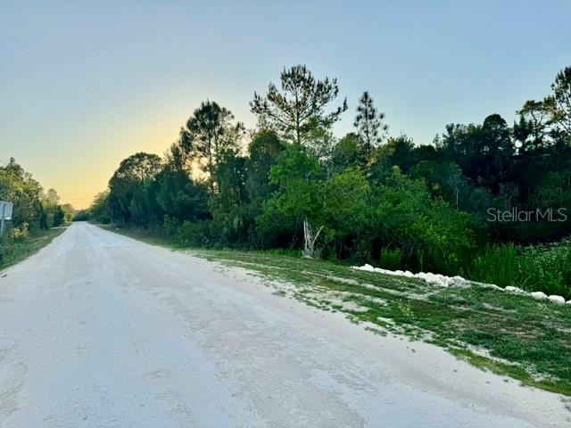 RAPIDAN RD, WEEKI WACHEE, FL — photo 8