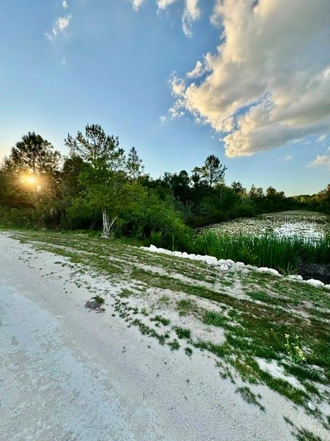 RAPIDAN RD, WEEKI WACHEE, FL — photo 9