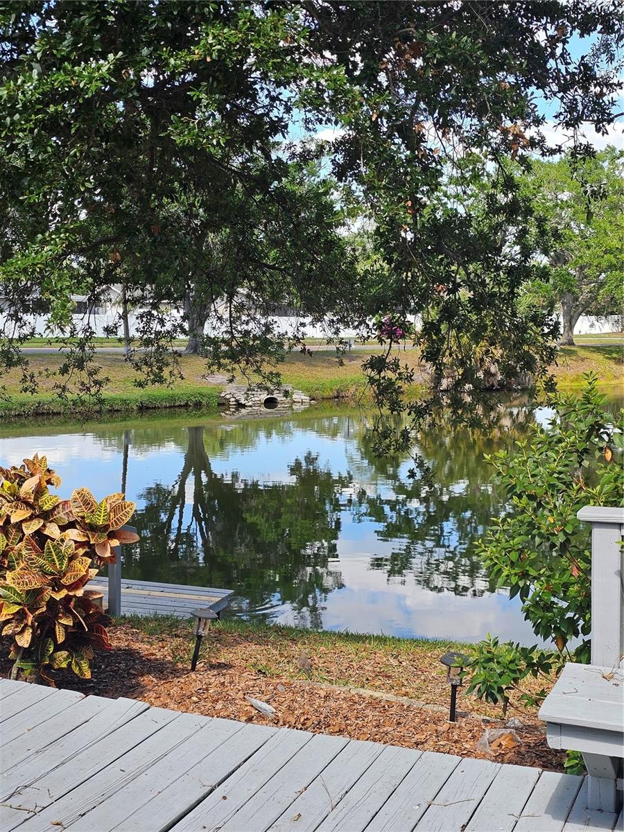 3235 BUCKHORN DR, CLEARWATER, FL — photo 44