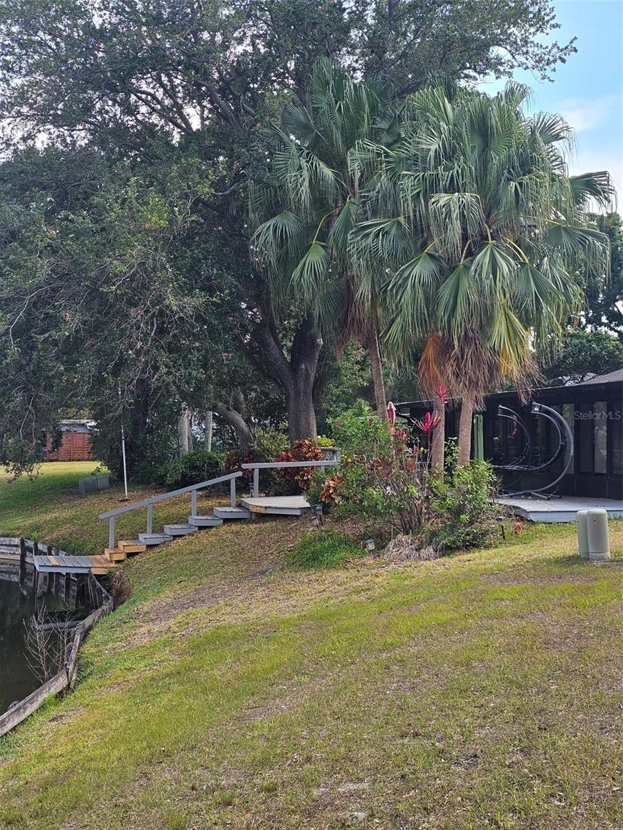 3235 BUCKHORN DR, CLEARWATER, FL — photo 46