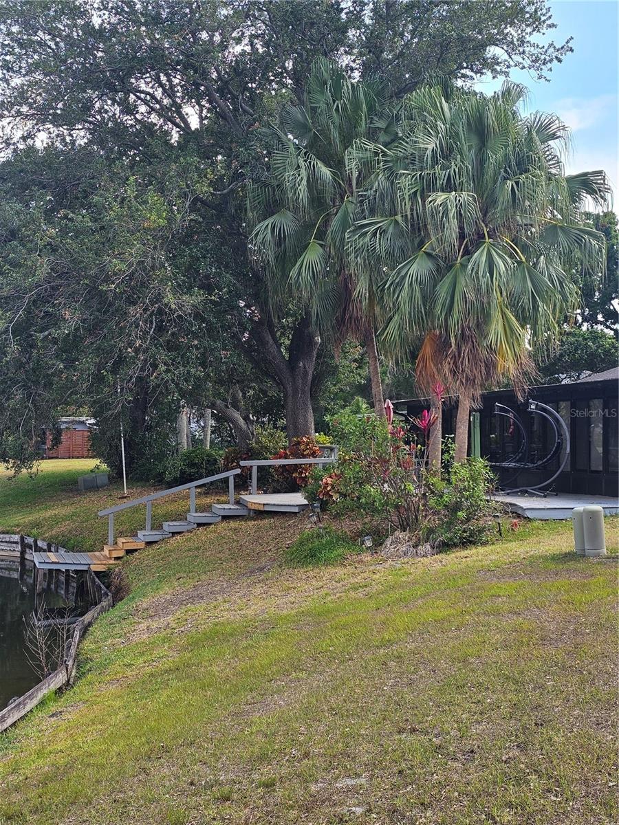 3235 BUCKHORN DR, CLEARWATER, FL — photo 48