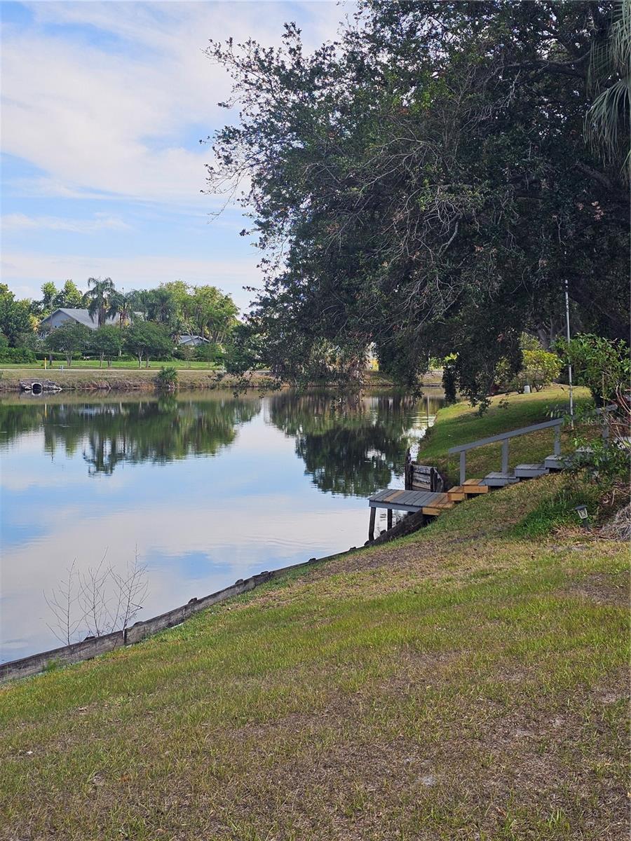 3235 BUCKHORN DR, CLEARWATER, FL — photo 49