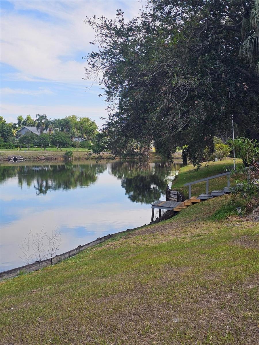 3235 BUCKHORN DR, CLEARWATER, FL — photo 51