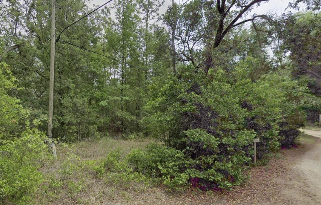 10013 N HOLYOAK TER, DUNNELLON, FL