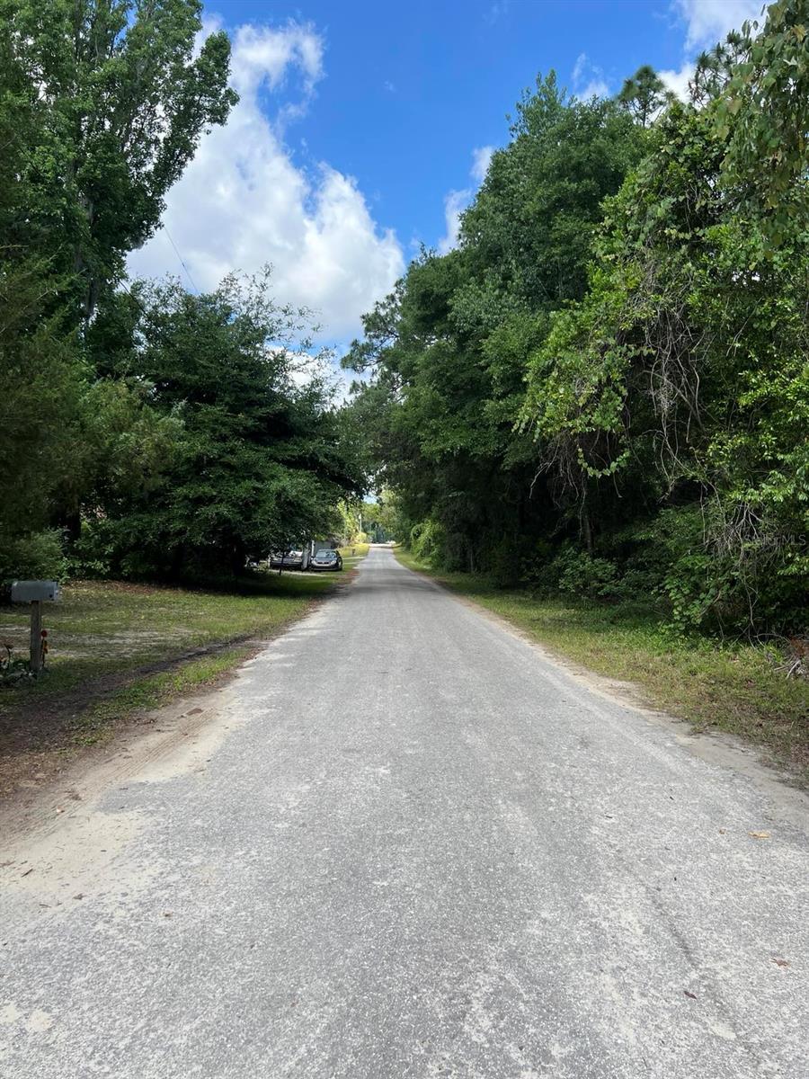 10013 N HOLYOAK TER, DUNNELLON, FL — photo 3