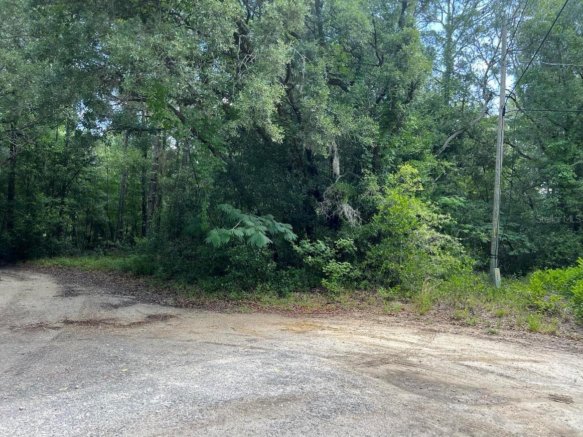 10013 N HOLYOAK TER, DUNNELLON, FL — photo 4