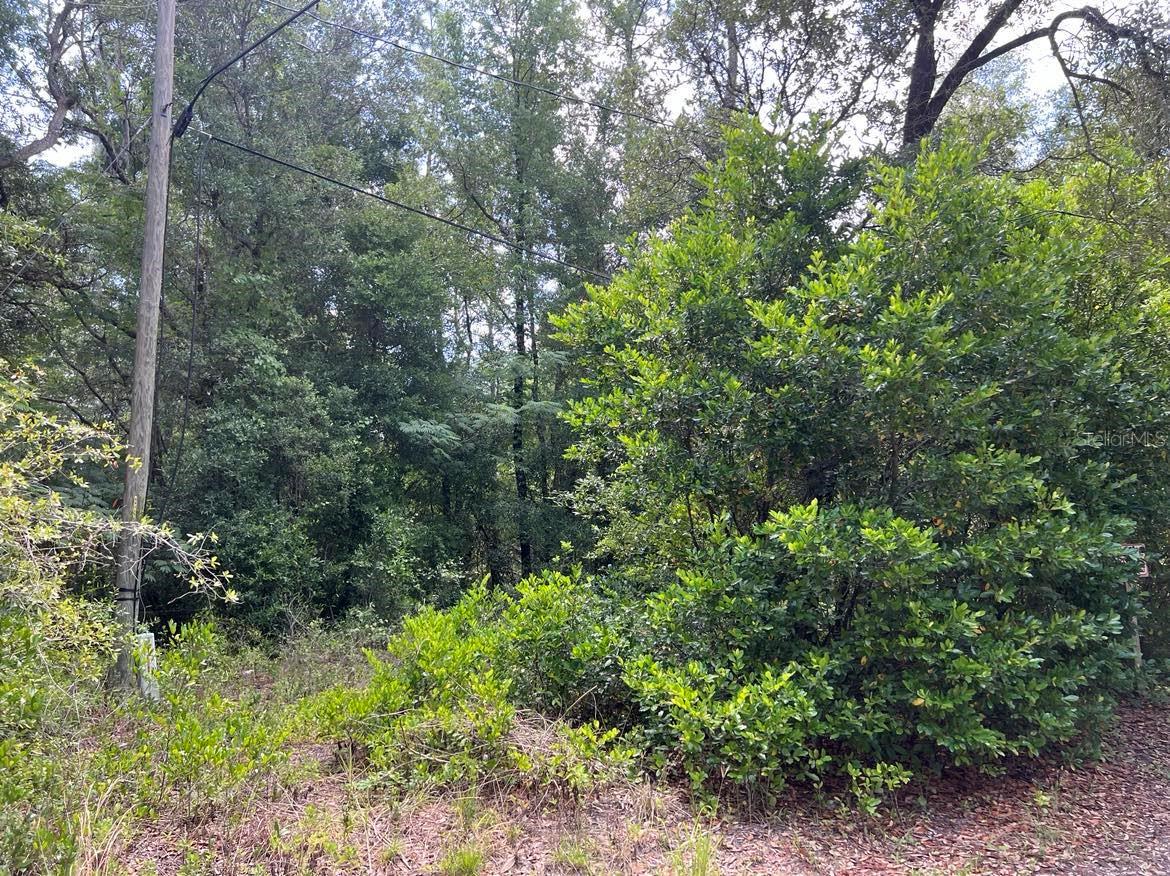 10013 N HOLYOAK TER, DUNNELLON, FL — photo 5