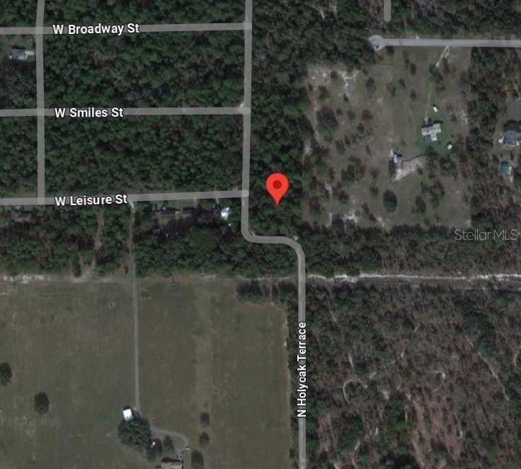 10013 N HOLYOAK TER, DUNNELLON, FL — photo 8
