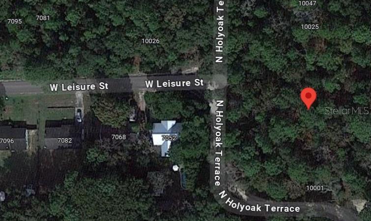 10013 N HOLYOAK TER, DUNNELLON, FL — photo 9