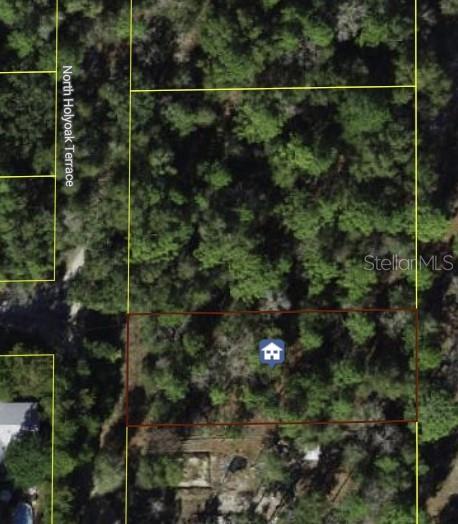 10013 N HOLYOAK TER, DUNNELLON, FL — photo 12