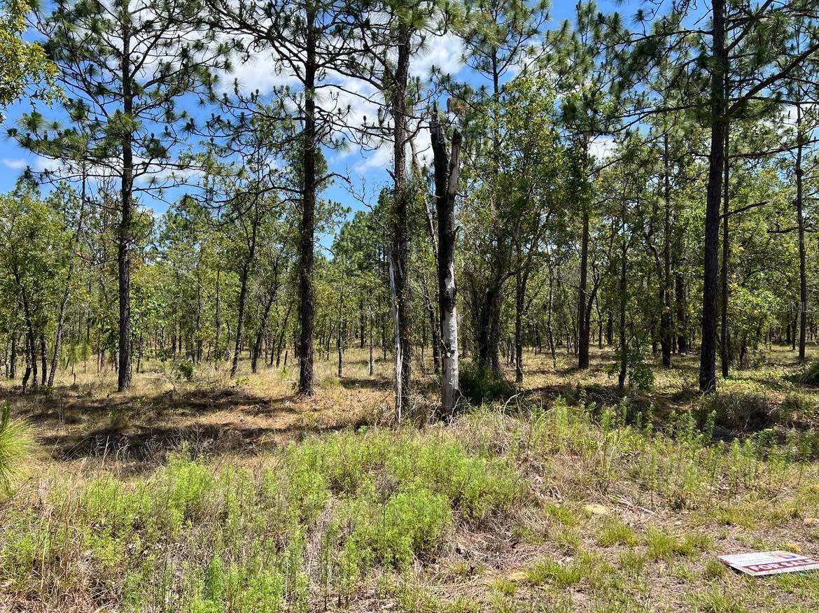 NW AMBERJACK, LOT #33, DUNNELLON, FL