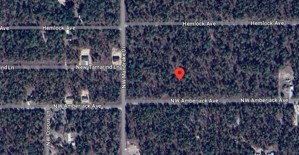 NW AMBERJACK, LOT #33, DUNNELLON, FL — photo 6