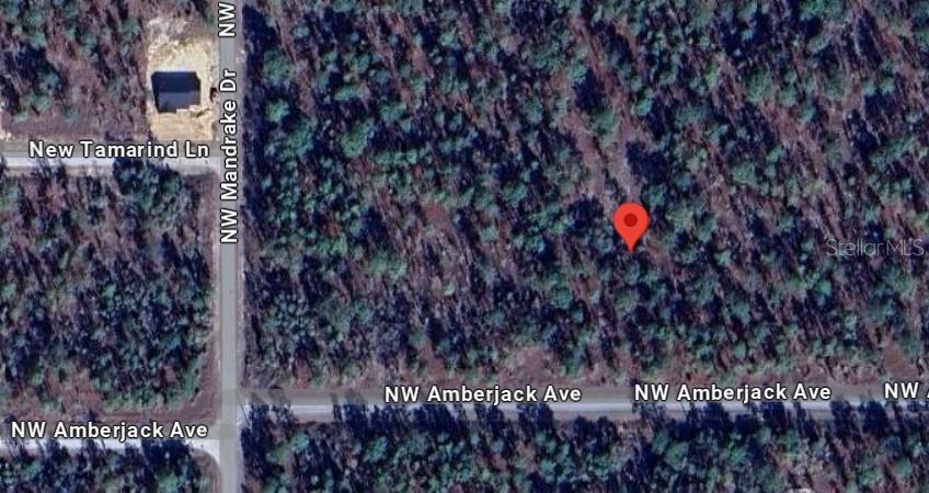 NW AMBERJACK, LOT #33, DUNNELLON, FL — photo 7