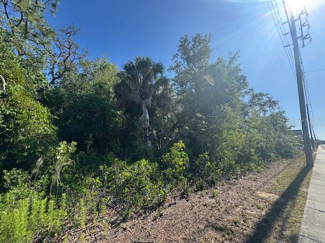 10331 STATE ROAD 52, HUDSON, FL — photo 4