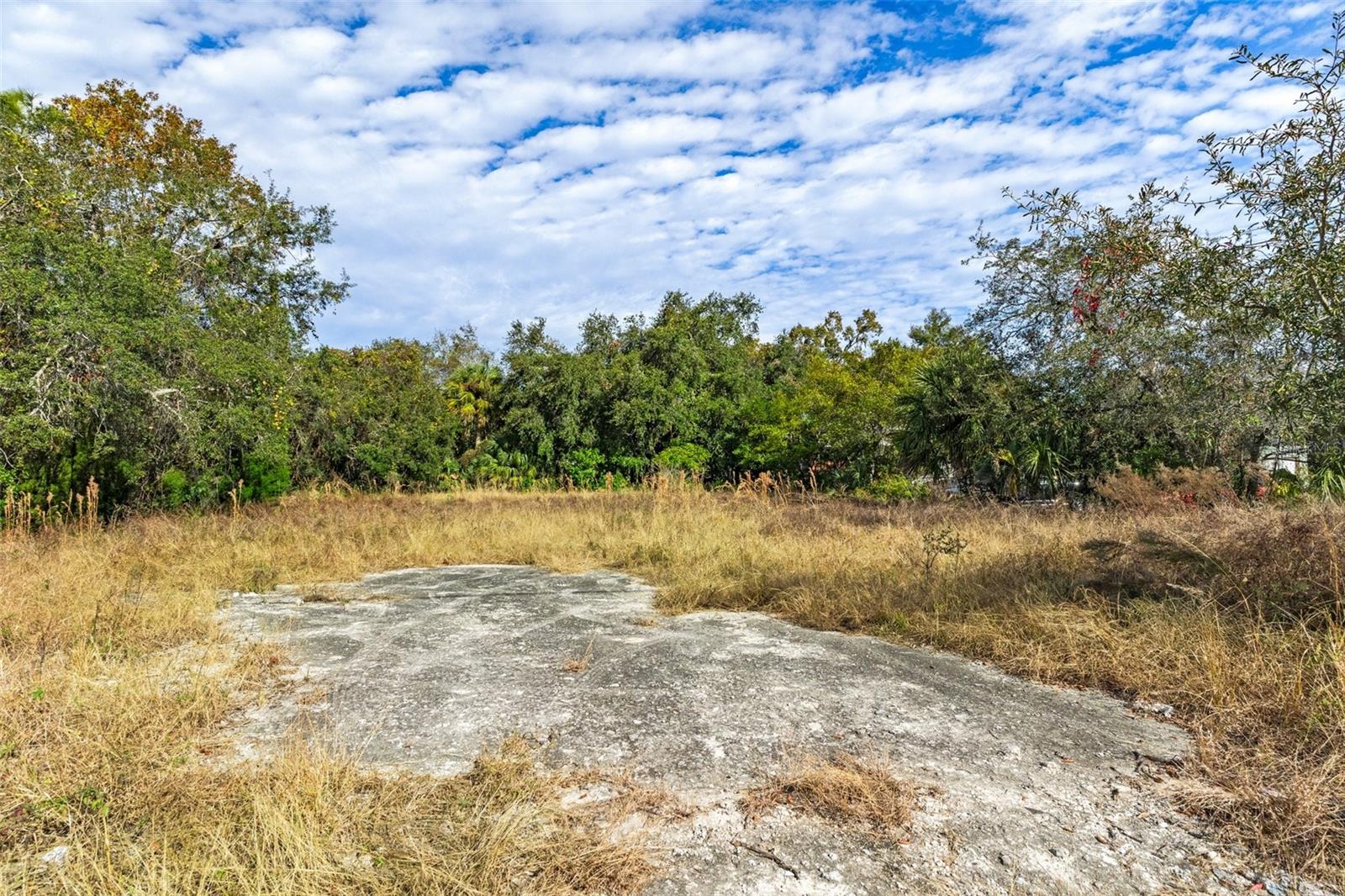 10331 STATE ROAD 52, HUDSON, FL — photo 15
