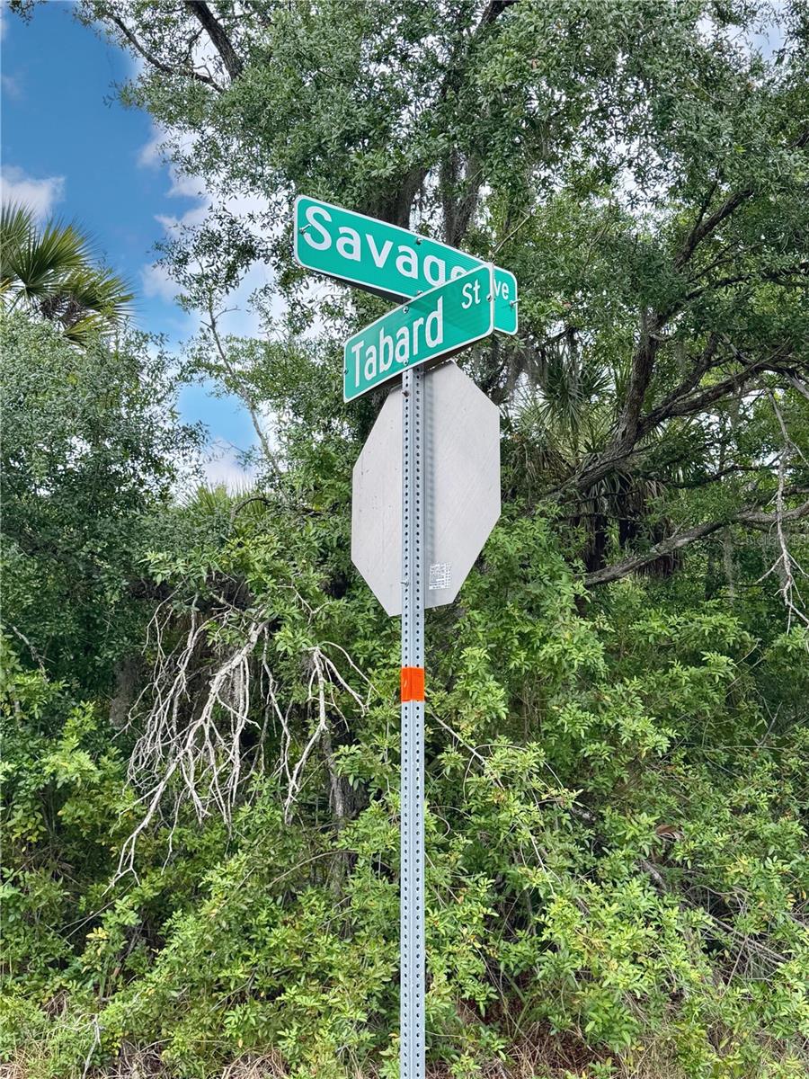 18039 SAVAGE AVE, PORT CHARLOTTE, FL — photo 2