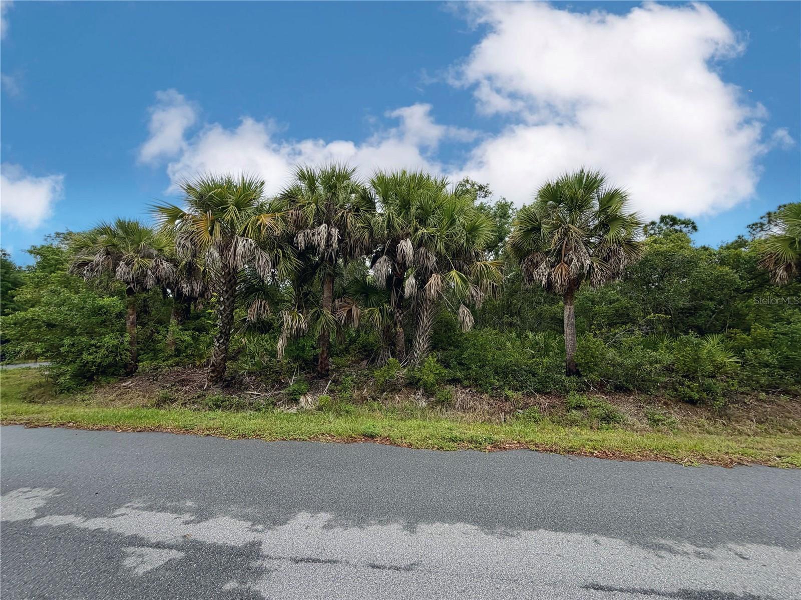 18039 SAVAGE AVE, PORT CHARLOTTE, FL — photo 7