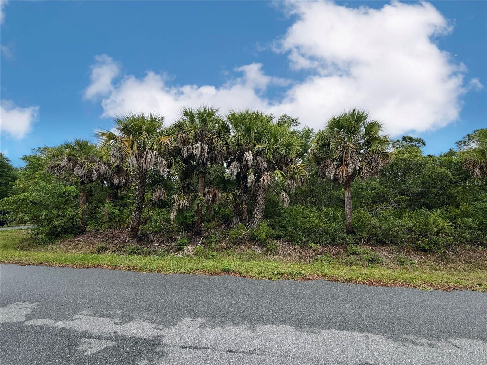18039 SAVAGE AVE, PORT CHARLOTTE, FL — photo 8