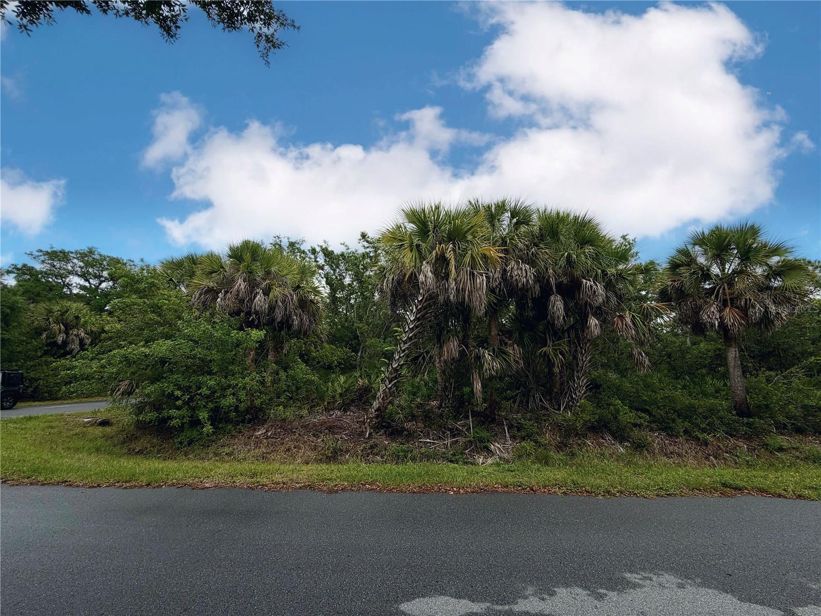 18039 SAVAGE AVE, PORT CHARLOTTE, FL — photo 9