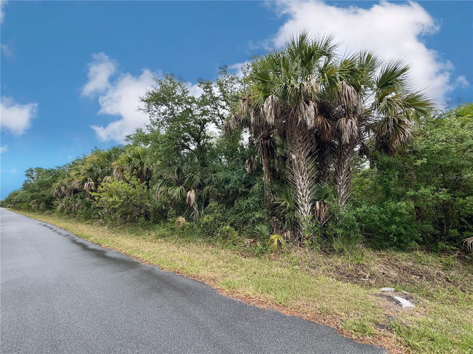 18039 SAVAGE AVE, PORT CHARLOTTE, FL — photo 11