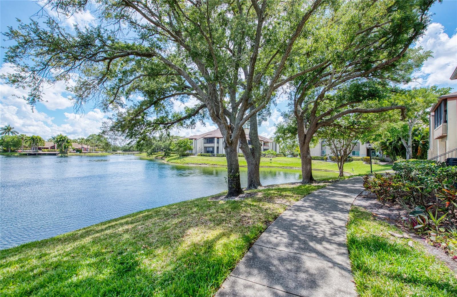 10263 GANDY BLVD N #2110, ST PETERSBURG, FL — photo 21