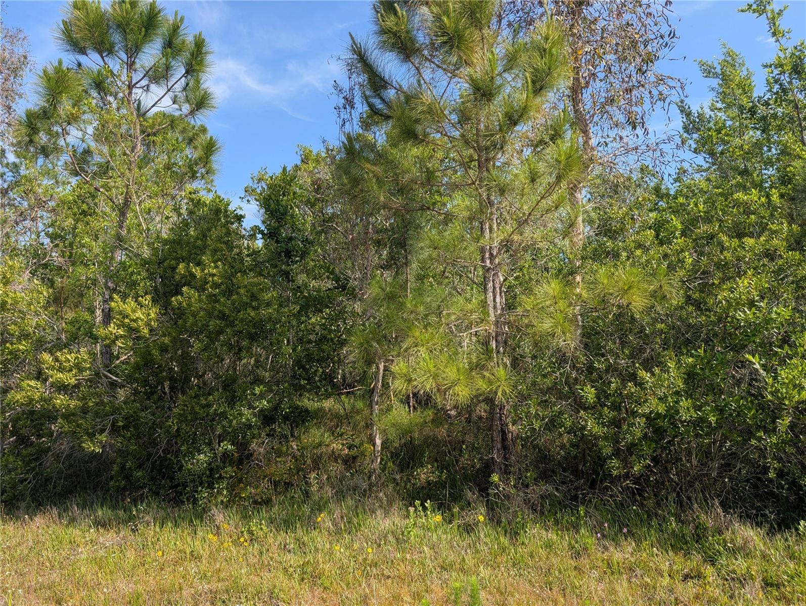 704 ORCHID DR, INDIAN LAKE ESTATES, FL